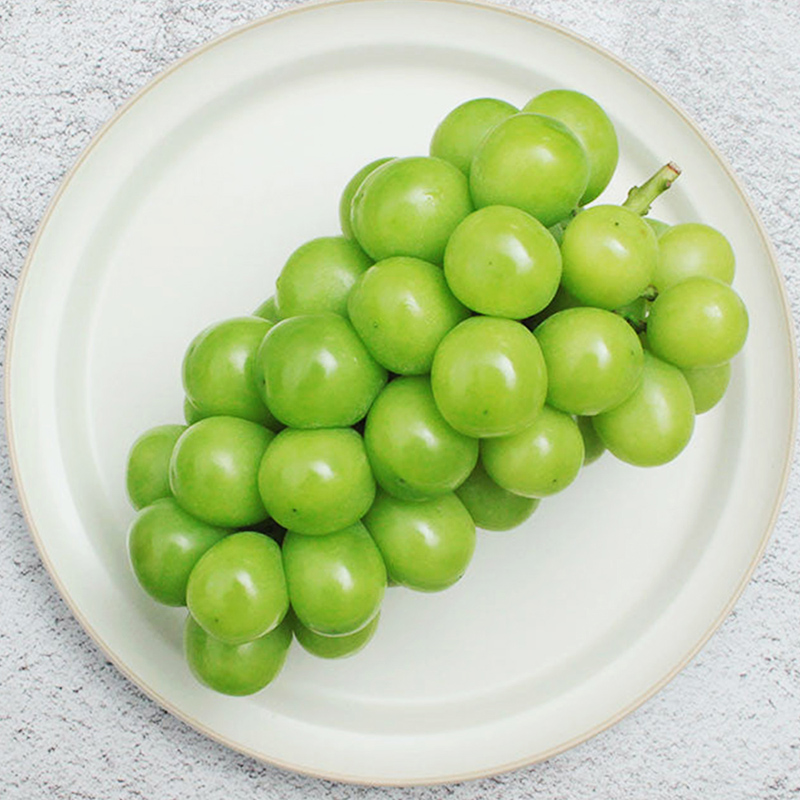 [馥果FruitGo]韓國麝香葡萄(特大-800g1串)