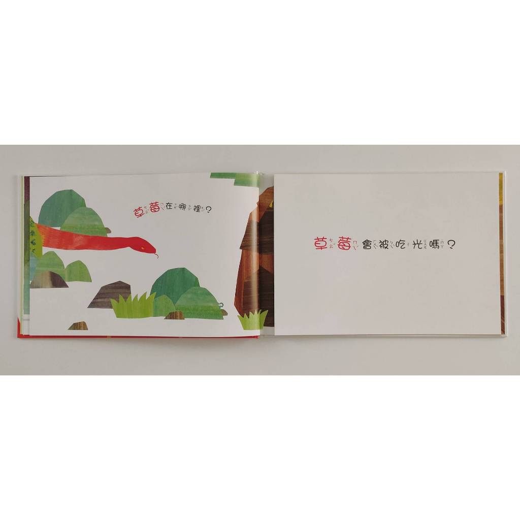 《南門書局》我的家精選繪本~共11本~我的家／雨靴／烏龜一家去看海／青蛙與蝸牛／小獅子愛畫畫／爸爸別怕／一個人的小鎮, , large