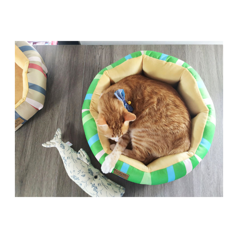 Lucky Me for pet, , large