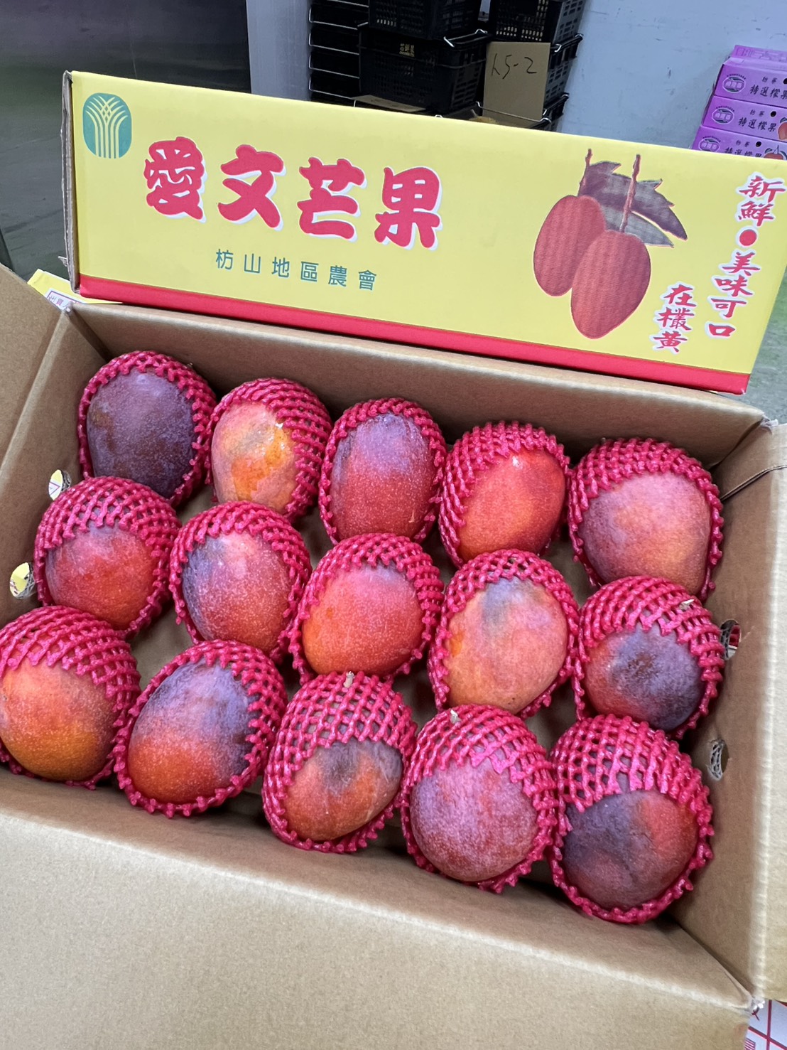 [芯鮮果]南臺灣嚴選 ( 愛文芒果 ), , large