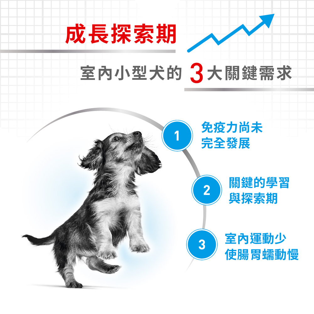 【Royal Canin法國皇家】小型室內幼犬MNINP, , large
