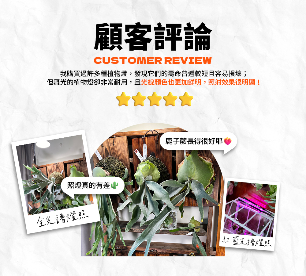 DanceLight舞光 8入組 LED 24W 紅藍光譜植物燈 PAR燈 PAR38生長燈 E27 植物專用, , large