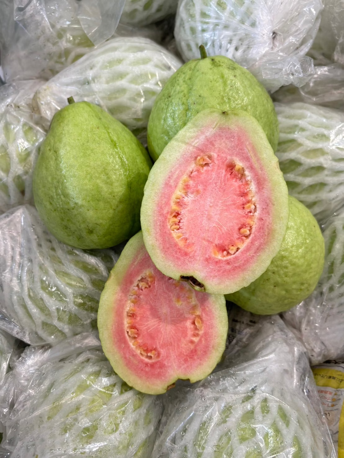 Red Guava, , large