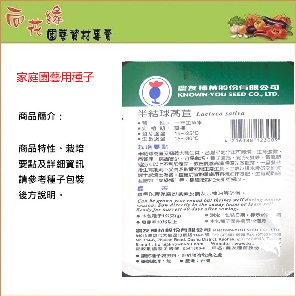 NongYou Semi-Head Lettuce &ndash; Vegetable Seeds, , large