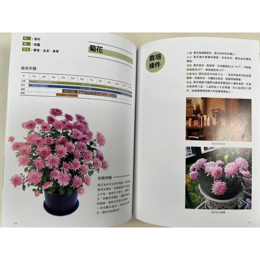 《南門書局》新手陽台種花+種菜+從菜場到餐桌, , large