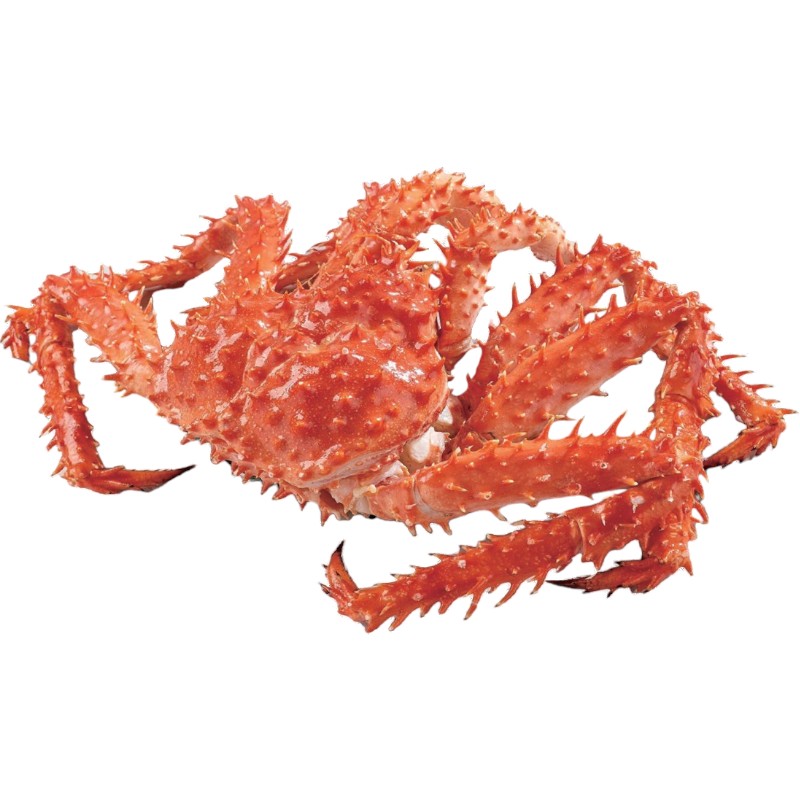 King Crab, , large