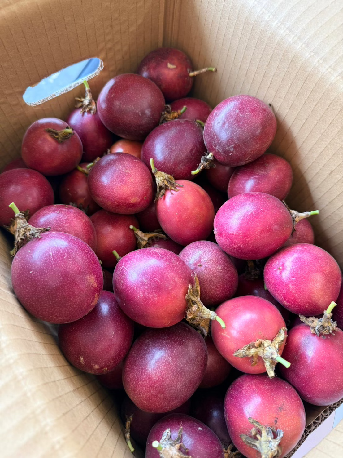 [芯鮮果]台灣嚴選( 百香果 ), , large