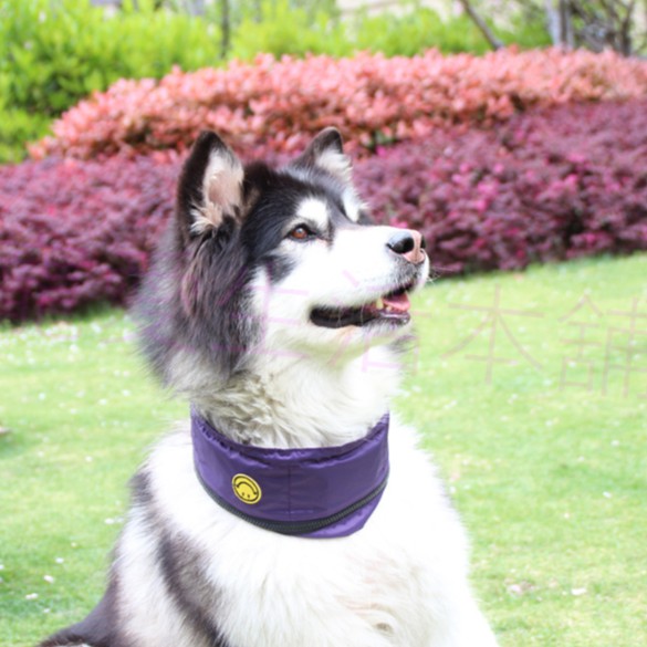 【寵愛生活本舖】中大型犬夏季防水涼感圍脖（含冰袋）素色, , large