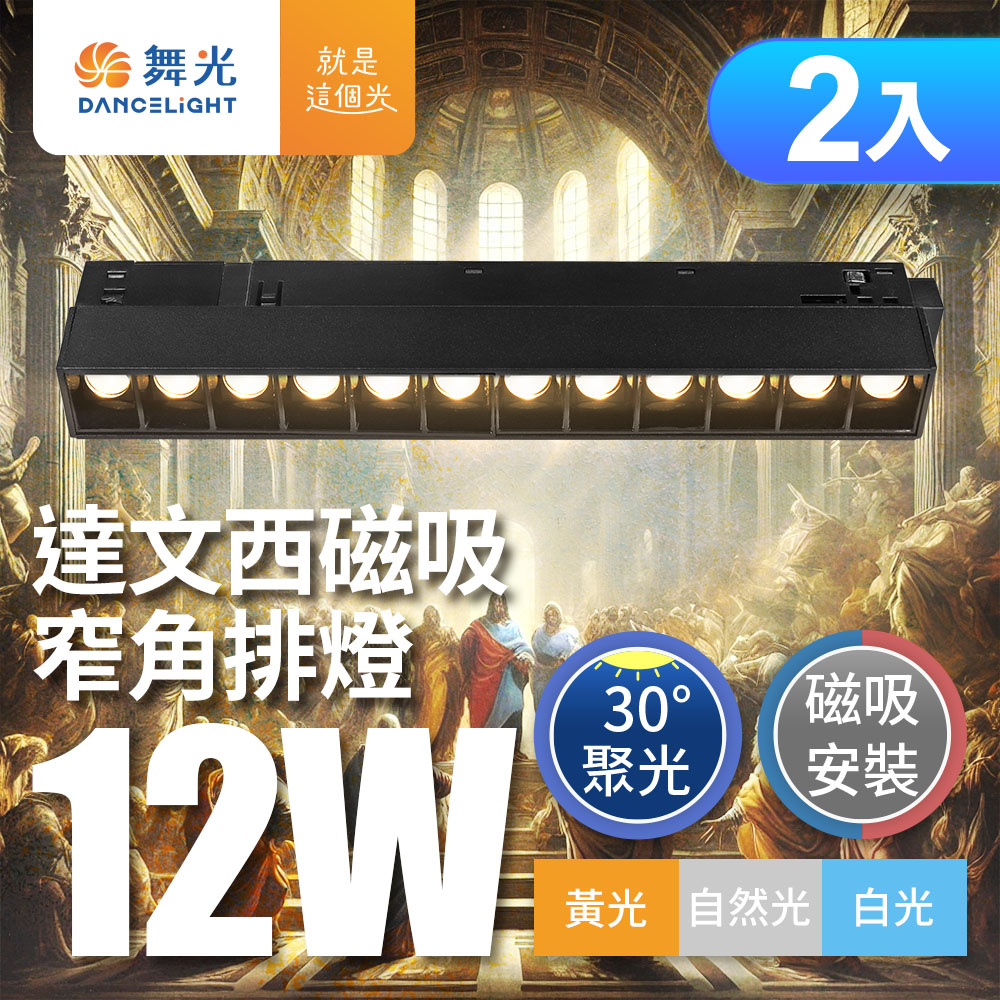 DanceLight 2-pack 12W Da Vinci Magnetic 30 Degree Narrow Angle Bar Light (White Light)