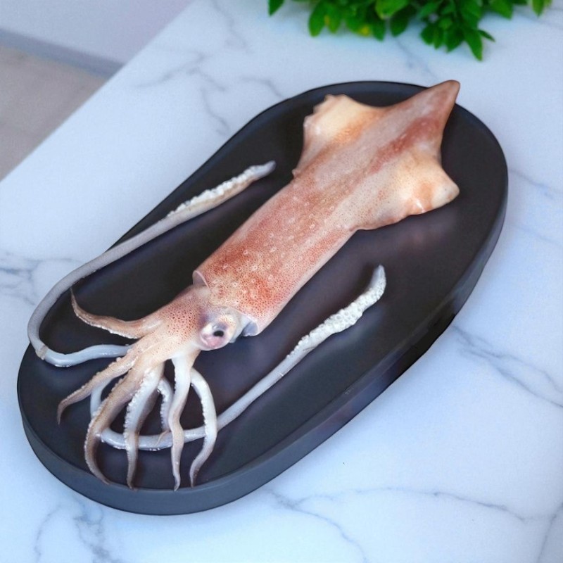 【一夫水產】海釣透抽－中(150-200g/尾)