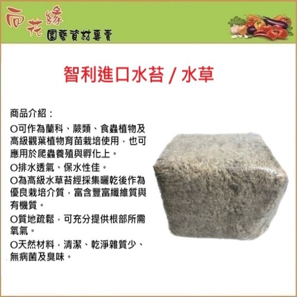 Chilean sphagnum moss 5kg, , large