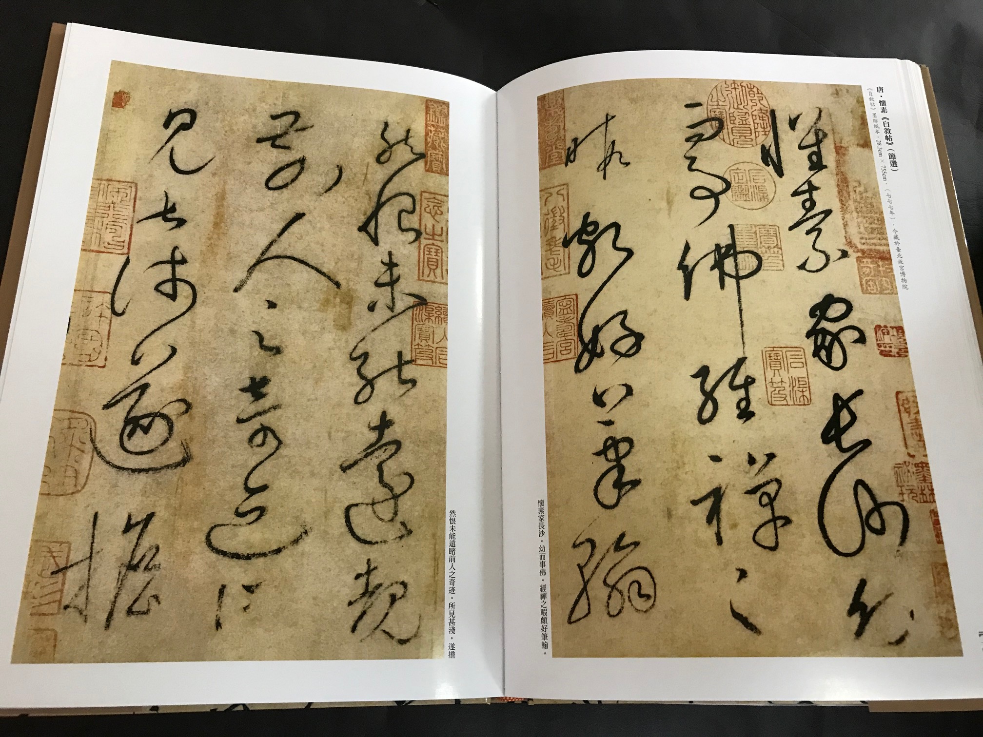 《南門書局》草書經典賞析１巨冊, , large