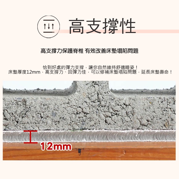 【格藍傢飾】貂絨6D立體保暖床墊(隨機圖案) 保暖床墊 可水洗 吸溼排汗, , large