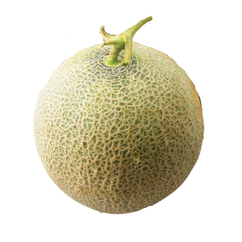 Honey Melon, , large
