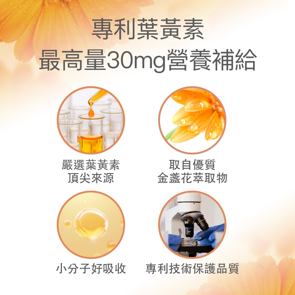 【FJ豐傑生醫】全能膠囊60顆/盒-綜合維他命+升級版，幫助入睡x養顏美容x孕婦營養補給, , large