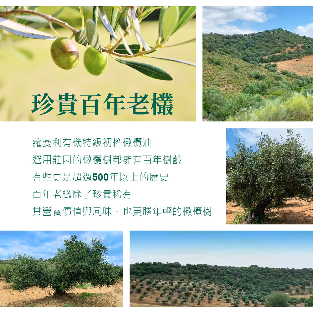 Romaine Organic Cold Pressed 100% Extra Virgin Olive Oil Gift (750ml - 2 gift boxes) * 2 sets, , large