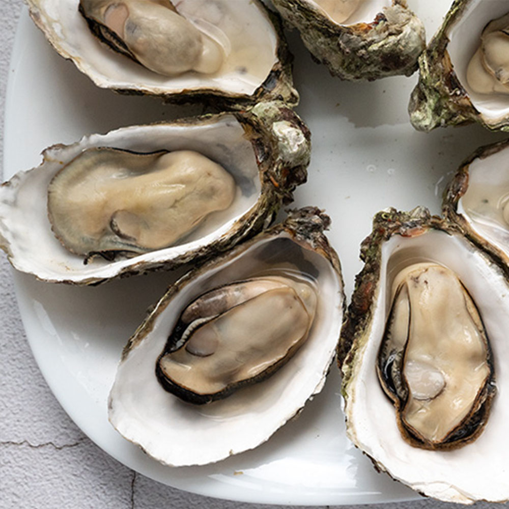 Penghu oysters, , large