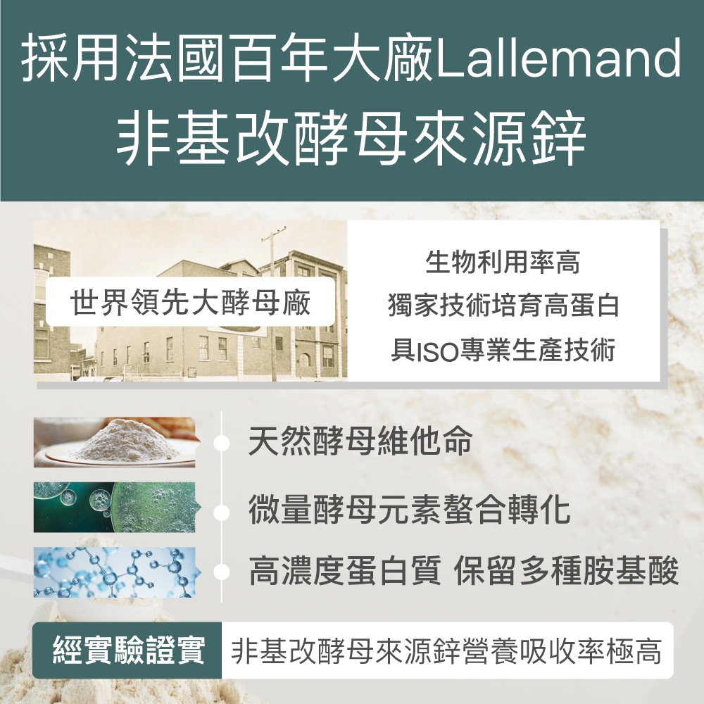 【FJ豐傑生醫】酵母鋅+牛磺酸-30顆/袋(滋補強身ｘ維持能量正常代謝), , large