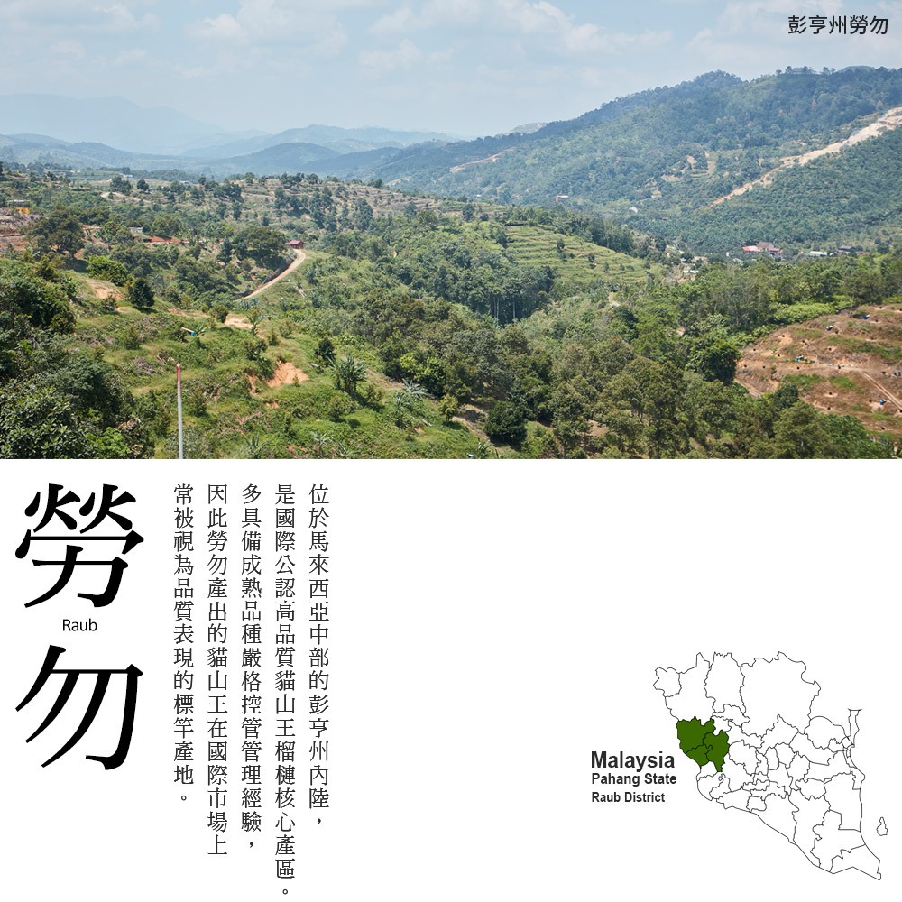 【榴槤大哥 D.MasKing】全球唯一正宗馬來西亞勞勿貓山王榴槤 x4 盒, , large