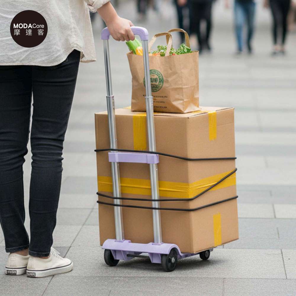 Home and daily necessities, , large