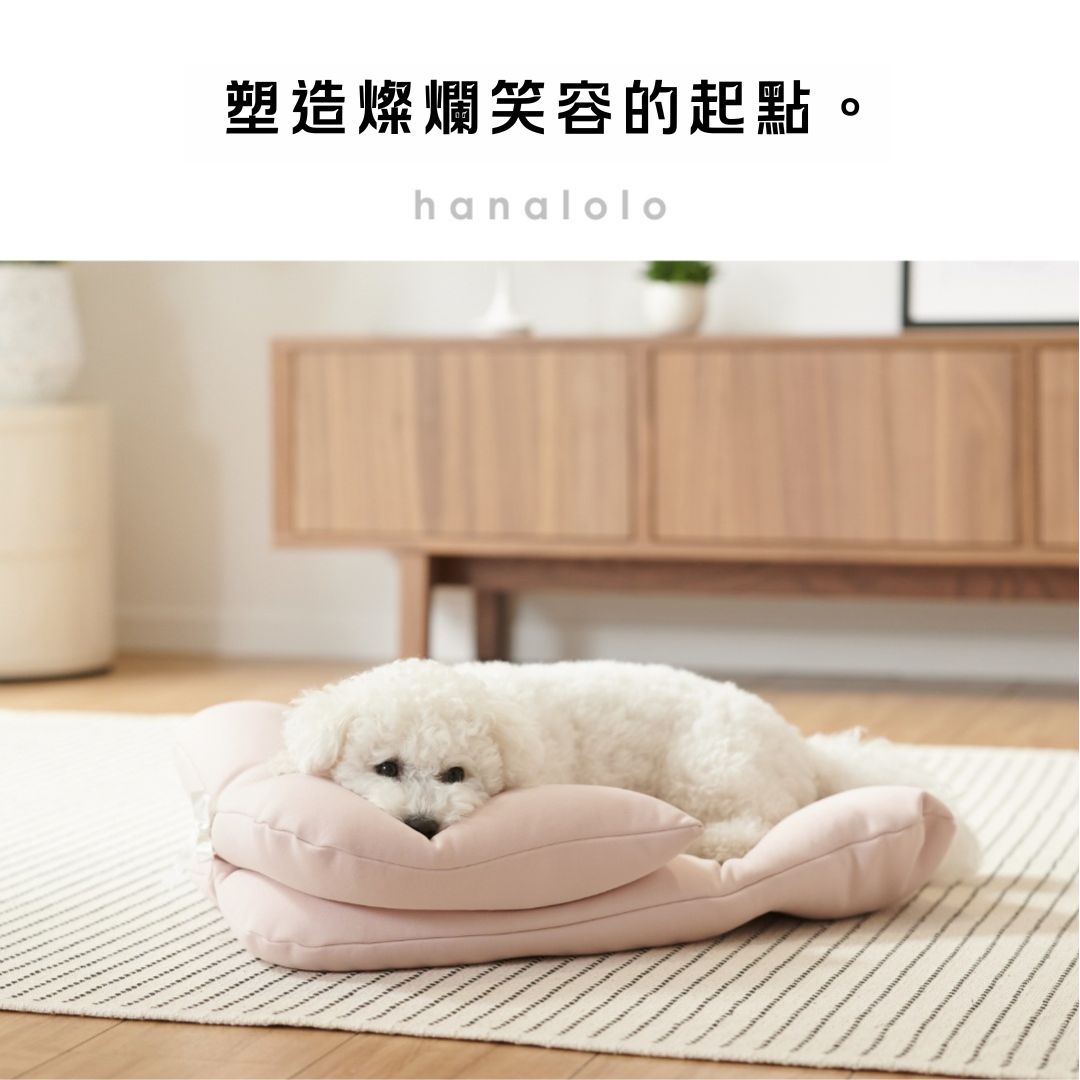 Pet car Cushion Set, , large