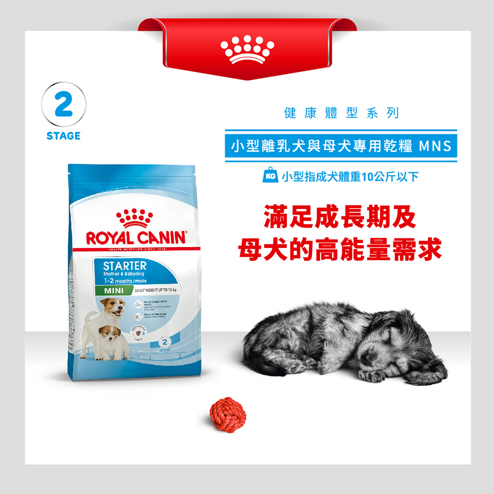 Royal Canin法國皇家 皇家小型離乳犬與母犬MNS, , large