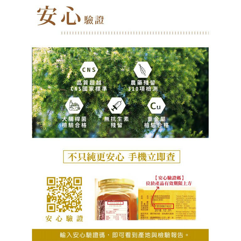 [蜜蜂故事館] 森林禮盒(蜂蜜430gx2), , large