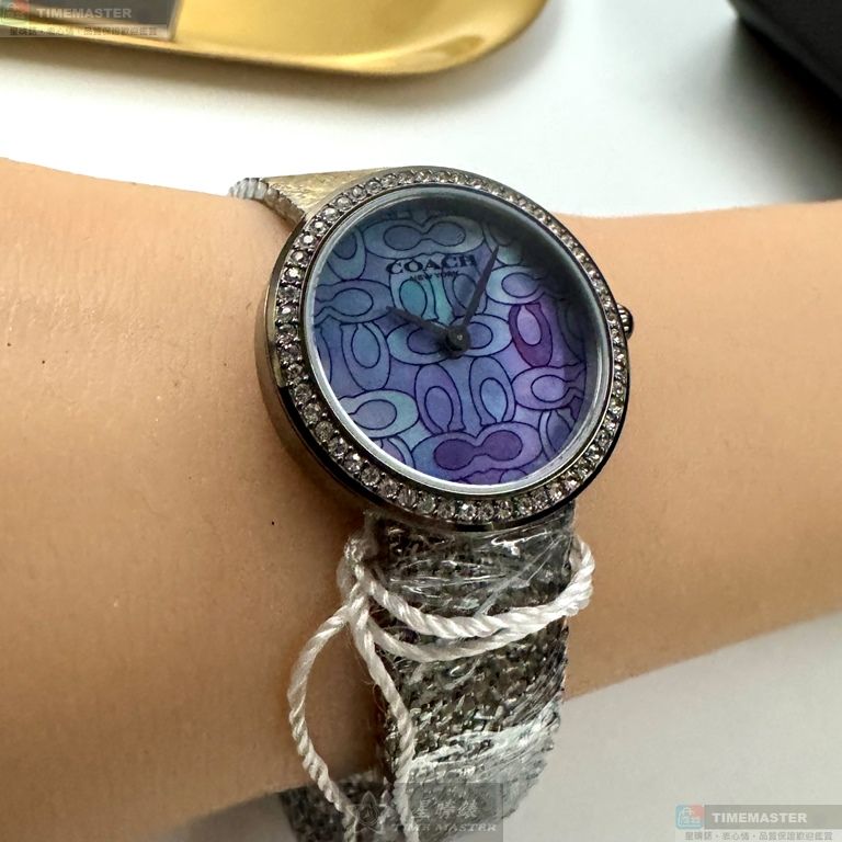 [TIMEMASTER] COACH watch, 28mm, CH00251, , large