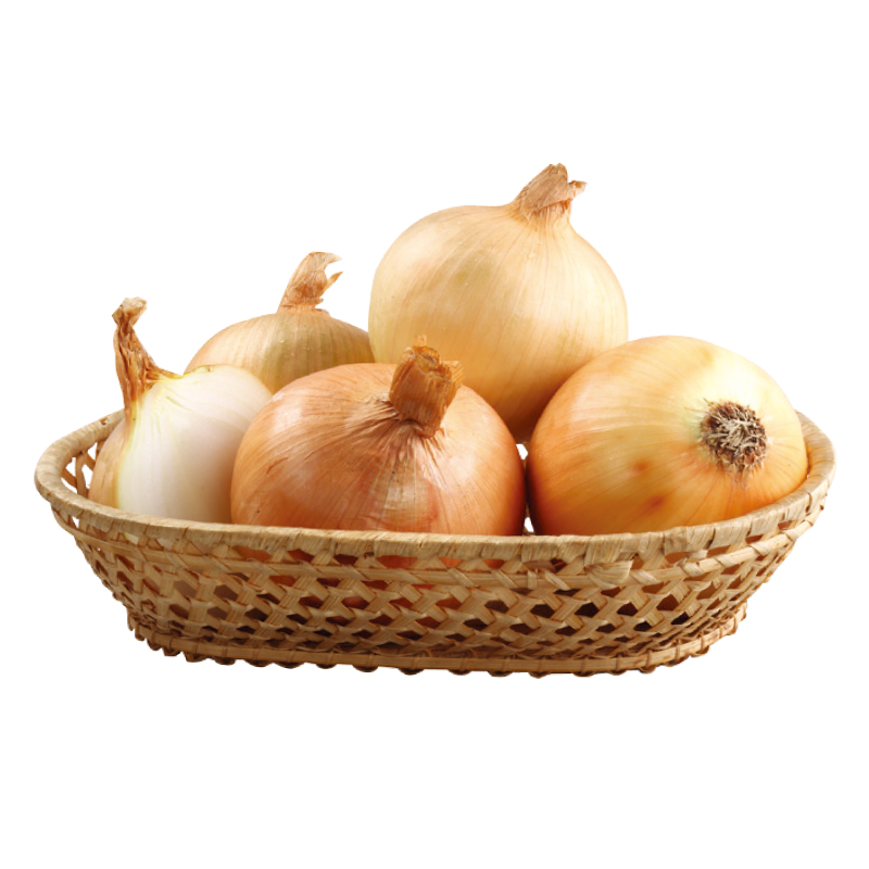 Japan Hokkaido Onion, , large