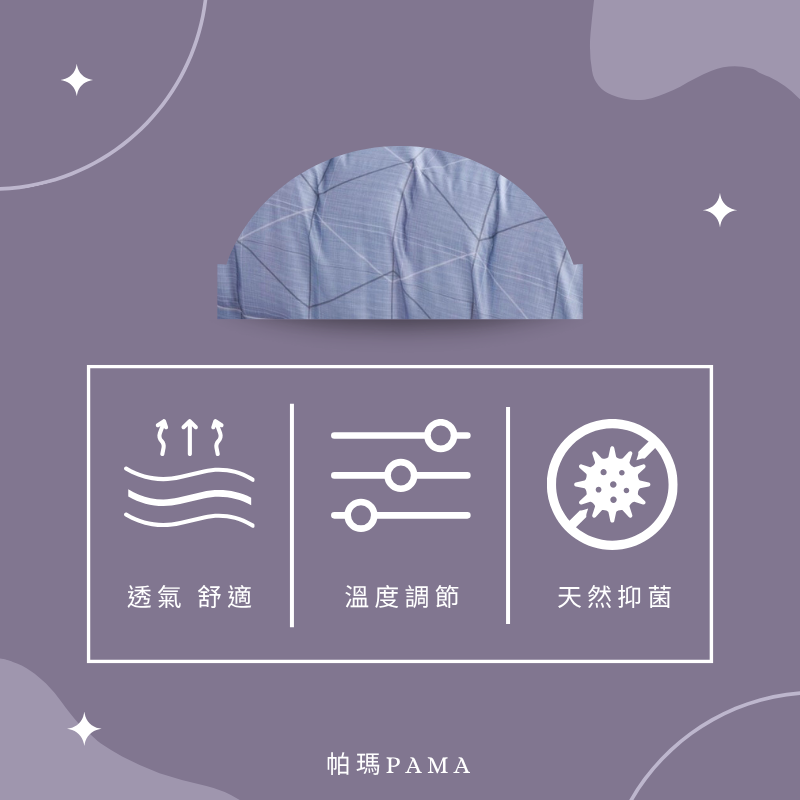 【帕瑪PAMA】60S 100%天絲兩用被床包組/單人/文森-紫, , large