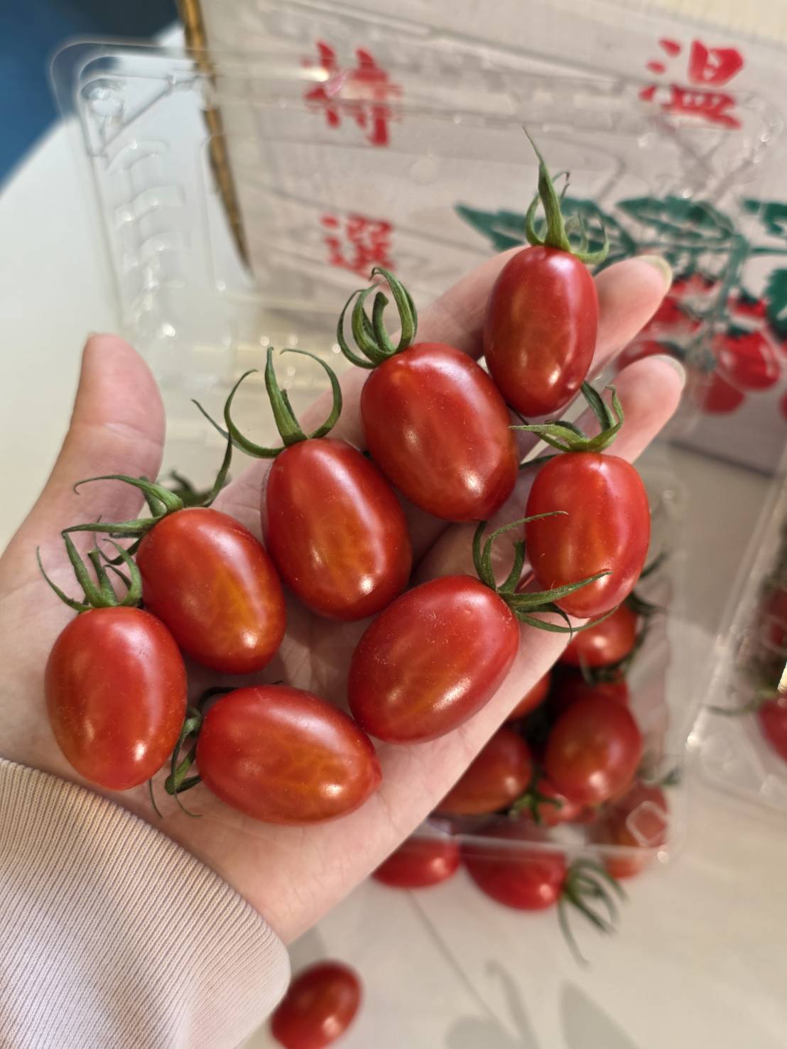 Jade Cherry Tomato, , large