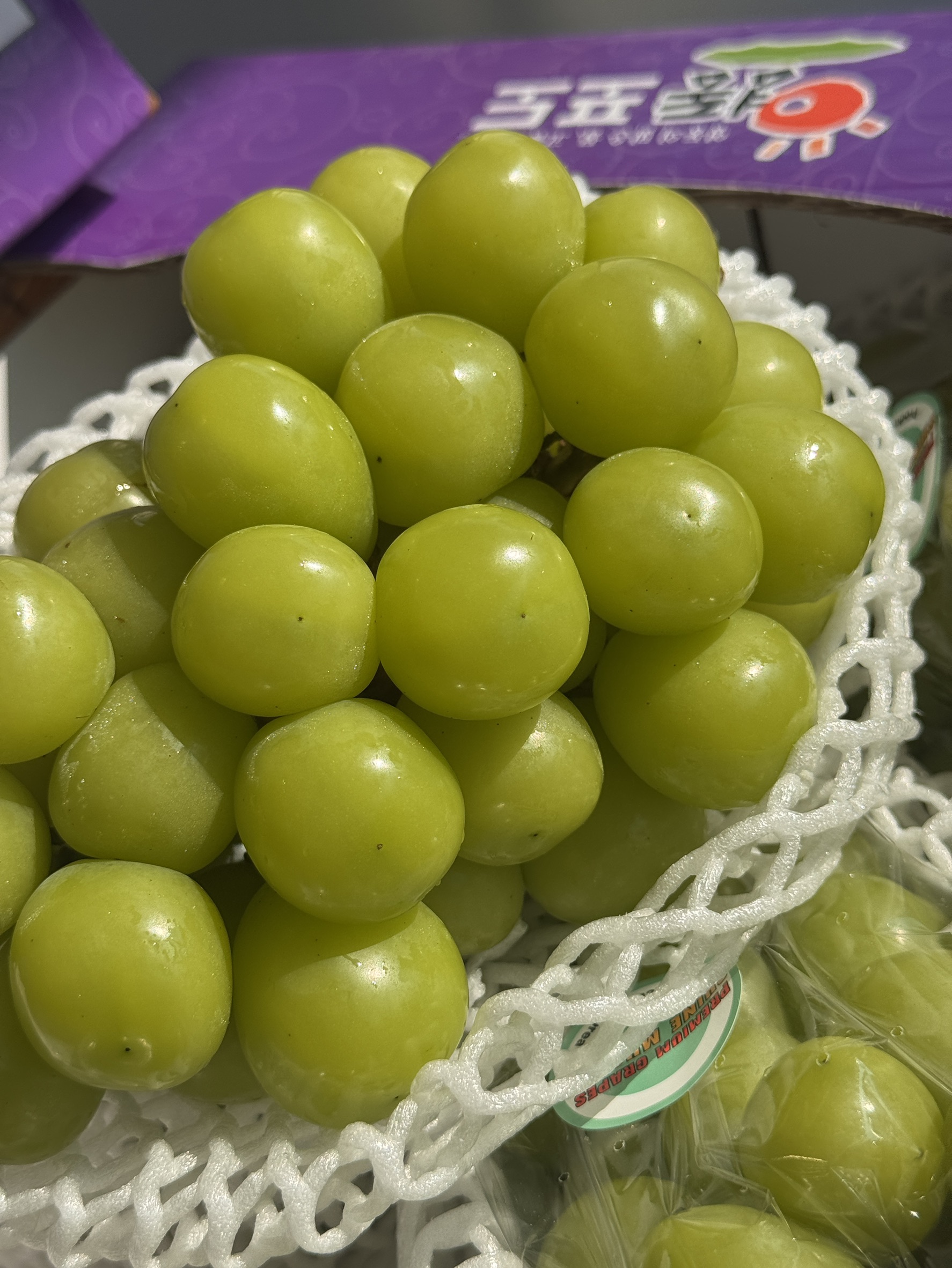  Korean Shine Muscat, , large