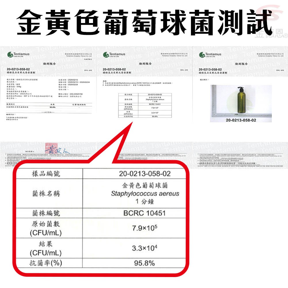 金德恩 GS MALL 台灣製造 100ml  清潔噴霧液 清潔液 噴霧液 椰子油噴霧液 廚房清潔 抑菌噴霧液 抑菌液, , large