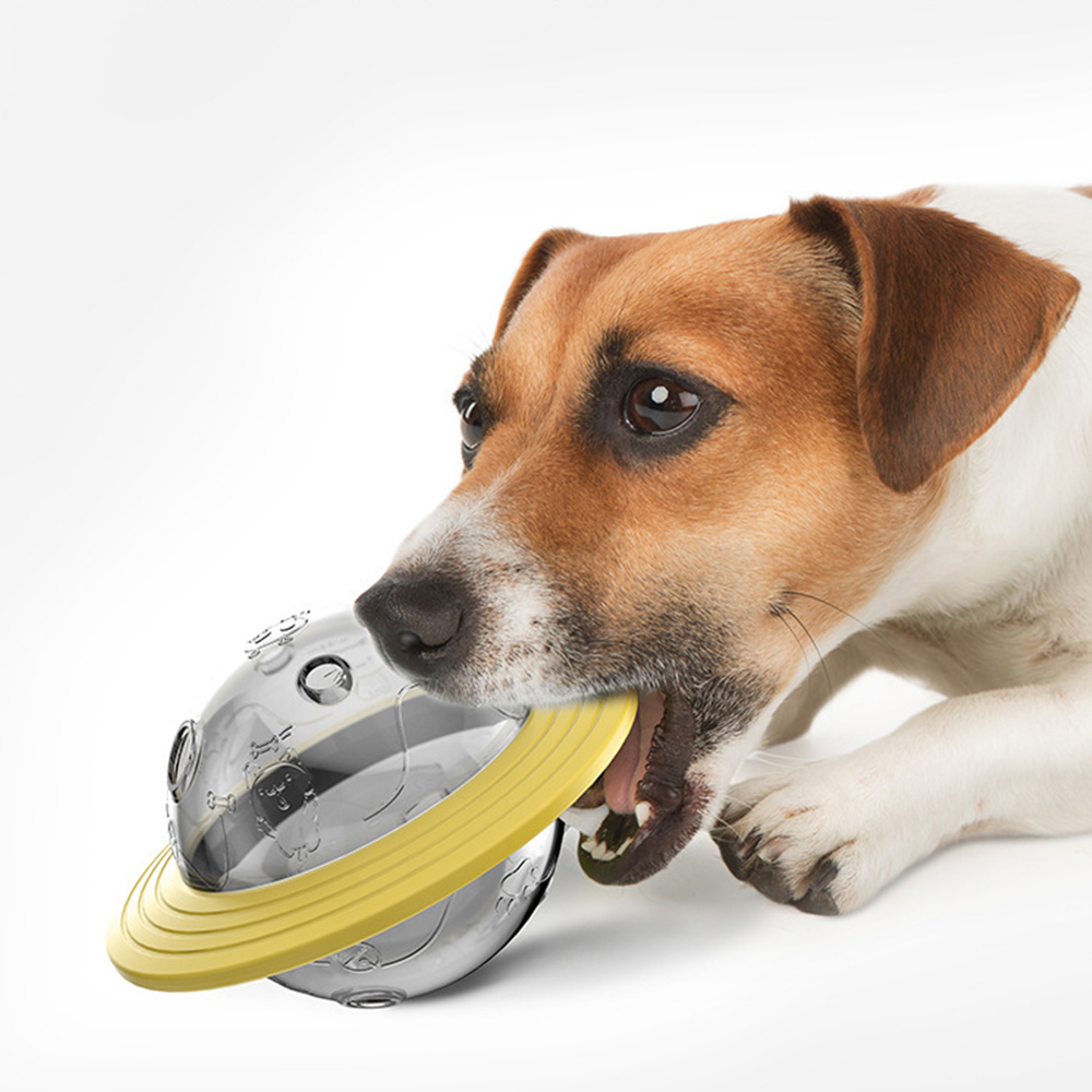 【P&H寵物家】狗狗不倒翁漏食餵食器 飛盤玩具(磨牙玩具 漏食玩具 寵物玩具 狗狗玩具), 湖藍色, large