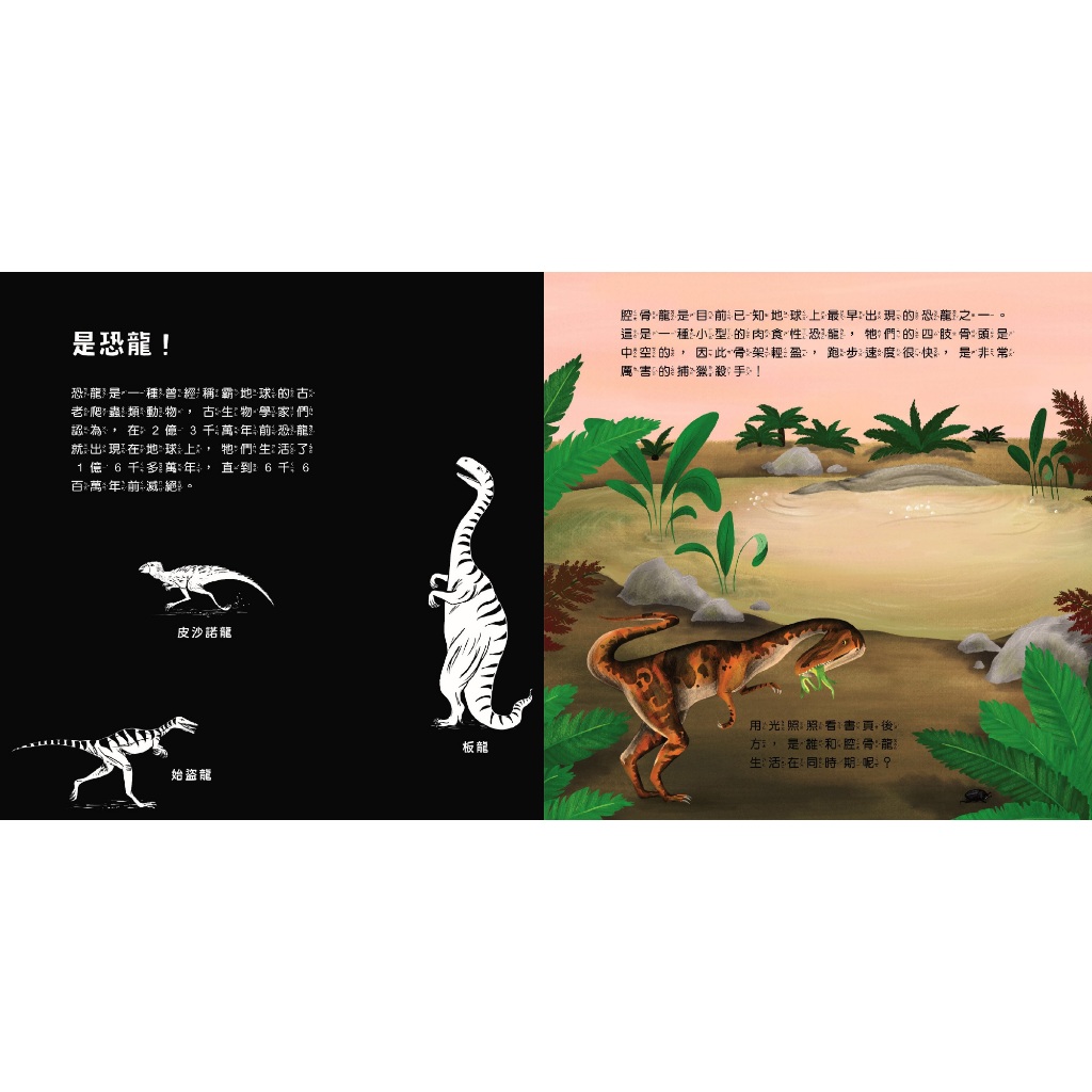 HOLIU CREATIVE CO.,LTD, , large