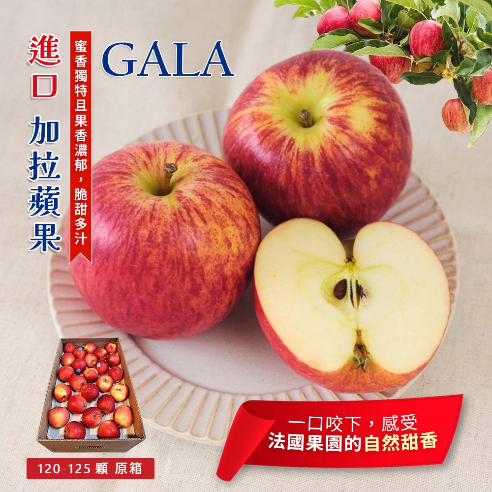 GALA APPLE, , large