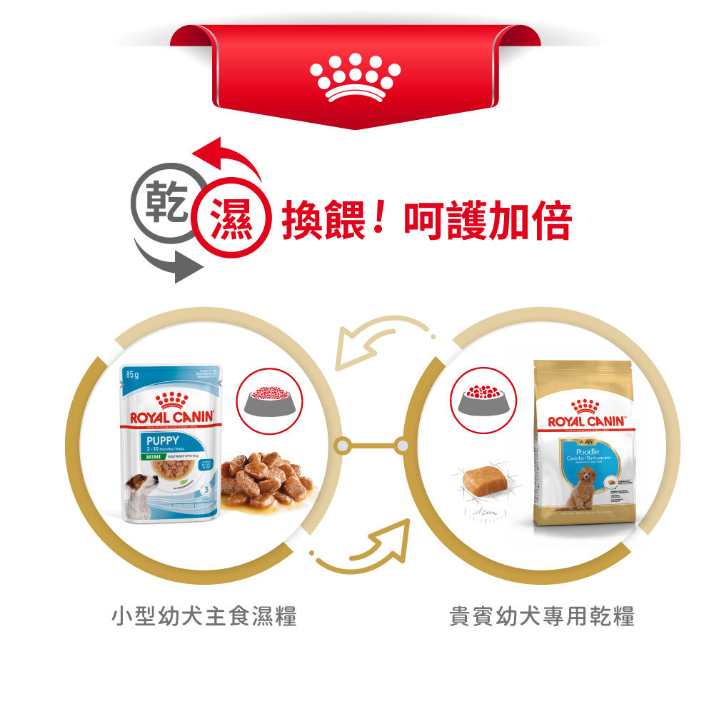 【Royal Canin法國皇家】貴賓幼犬專用乾糧PDP, , large