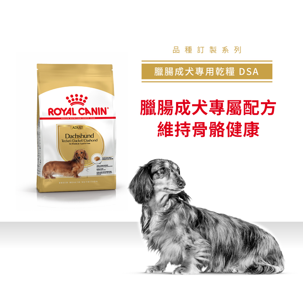 Royal Canin Dachshund Adult DSA, , large