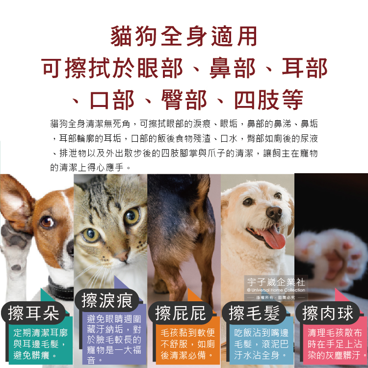 KOJIMA Pet Wet tissue 80pcs, , large