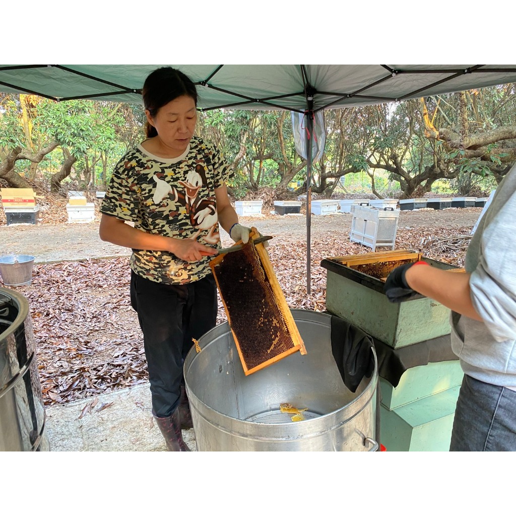 [皇廷] 龍眼蜂蜜500g隨手瓶, , large