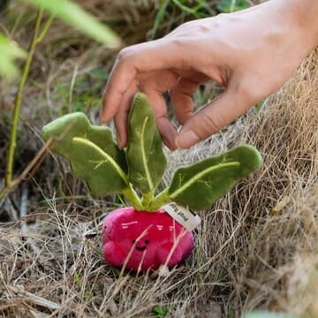 【際洋文化】蔔學多才-蘿蔔, , large