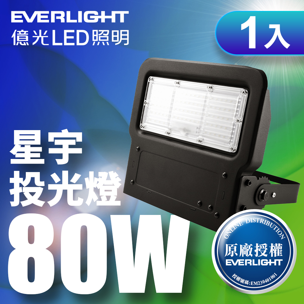 Everlight億光 LED 星宇 80W 全電壓 IP65 投光燈(白光), , large